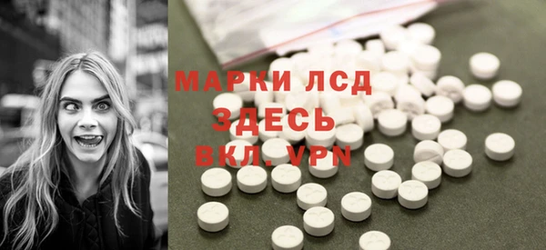 гидра Елабуга