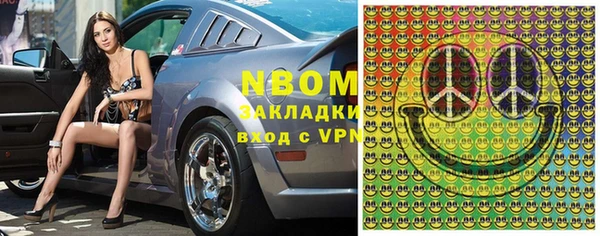 гидра Елабуга