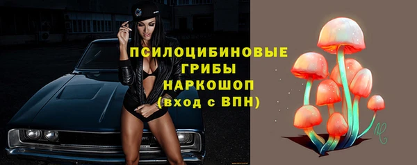 гидра Елабуга