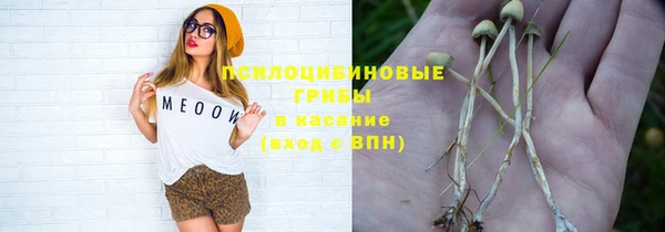 прущая мука Ельня