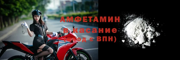 гидра Елабуга