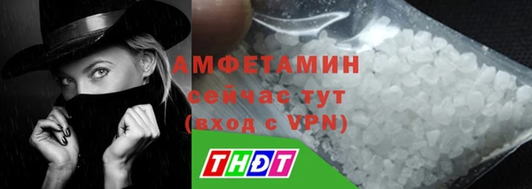гидра Елабуга