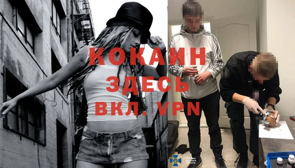 мет Елизово