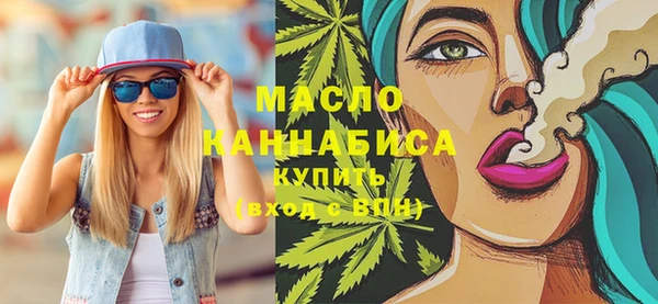 гидра Елабуга