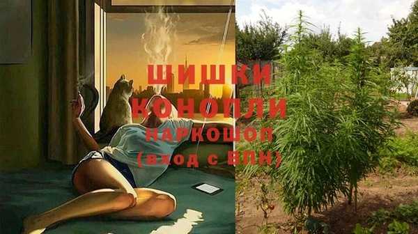 мет Шали