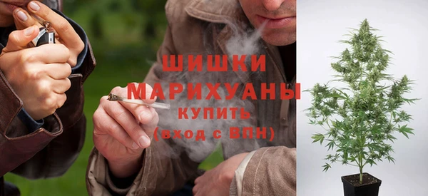прущая мука Ельня