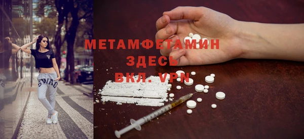 гидра Елабуга