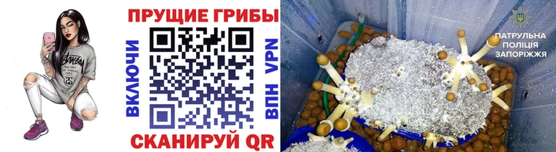 Галлюциногенные грибы MAGIC MUSHROOMS  Красный Сулин 